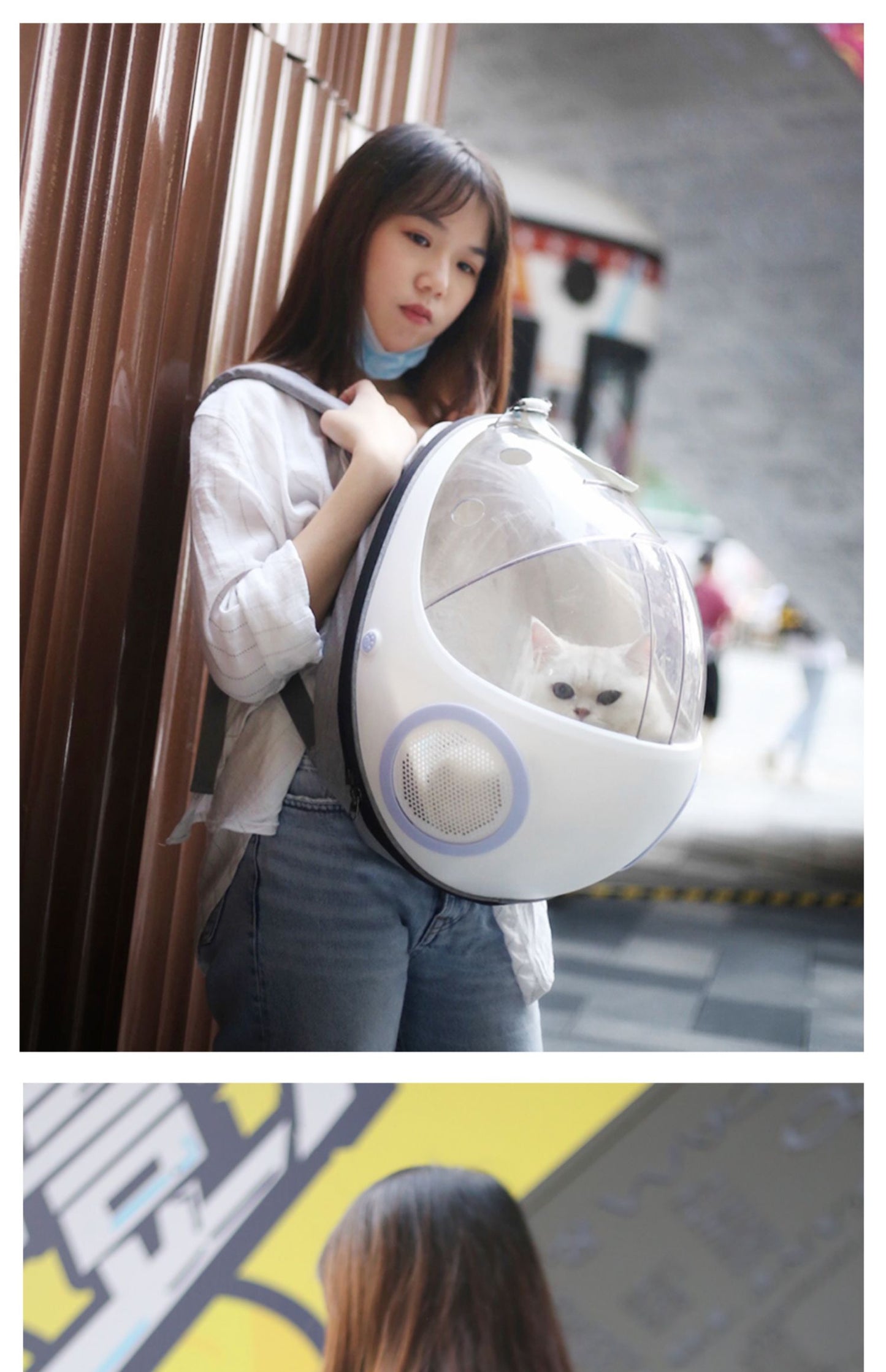 Transparent Egg Shell Pet Carrier