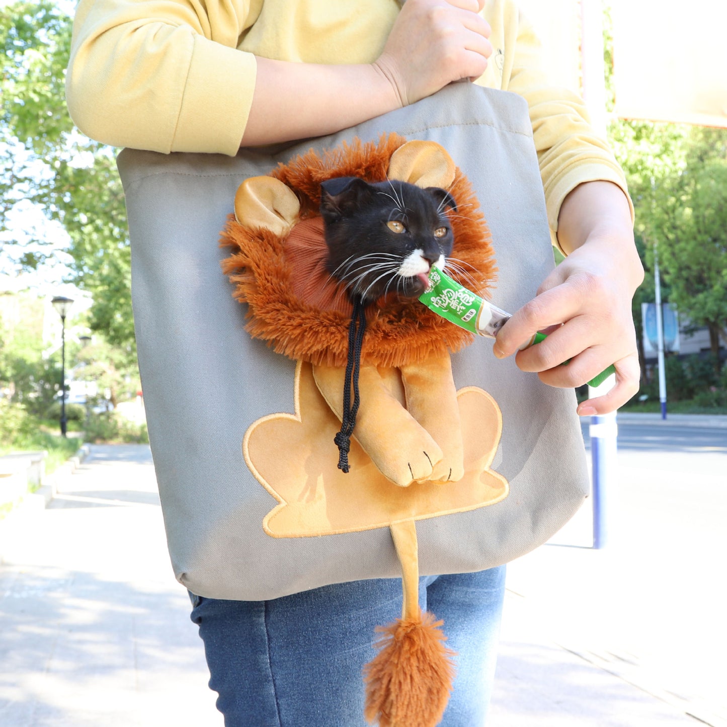 Portable Lion Design Pet Carrier Bag with Safety Zippers